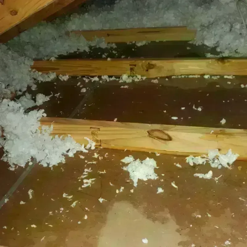 Attic Water Damage in Ramona, CA