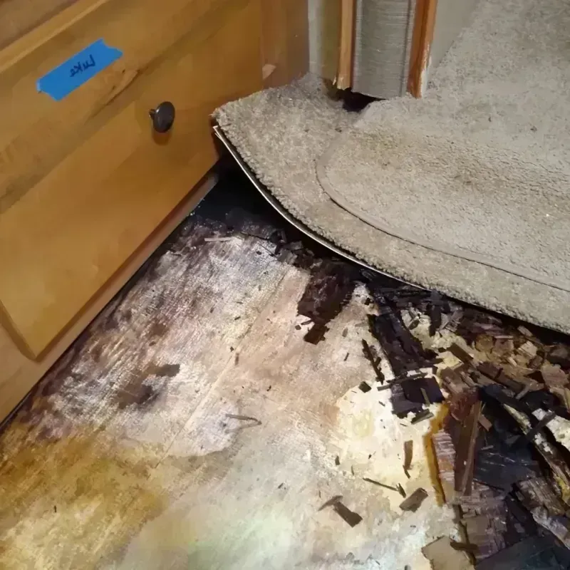 Best Wood Floor Water Damage Service in Ramona, CA